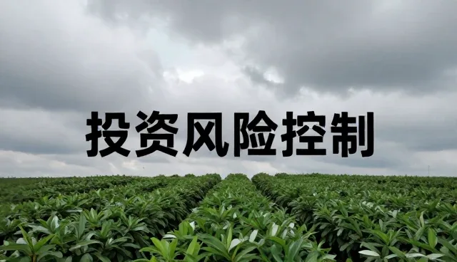选型关注点：投资管理团队的检查要点分析