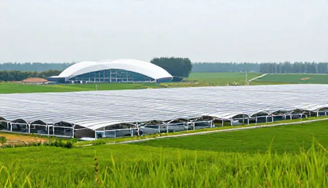 资产管理中投资咨询的检查要点与使用建议